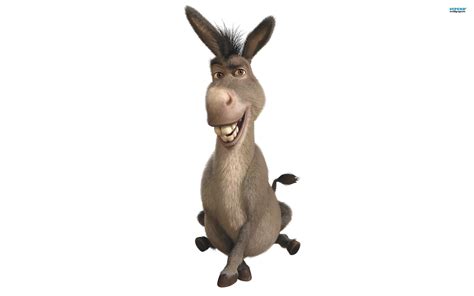 Donkey Cartoon wallpaper | 2560x1600 | #9209