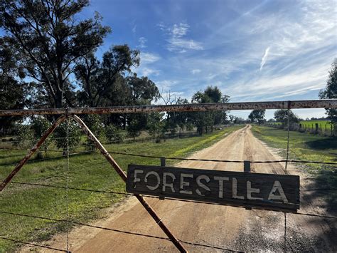 kaarimba road kaarimba vic  house  sale domain