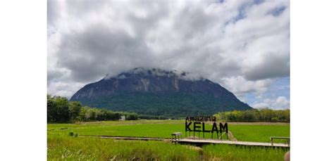 Bukit Kelam Salah Satu Batu Monolit Terbesar Dan Tertinggi Di Dunia