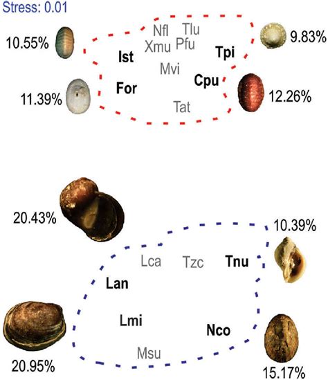 Nmds Ordination Of Molluscan Assemblages Showing Arrangement Of The