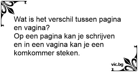 Wat Is Het Verschil Tussen Pagina En Vagina Op Een Pagina Kan Je