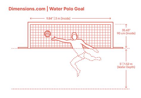 Water Polo Pool Dimensions & Drawings | Dimensions.com