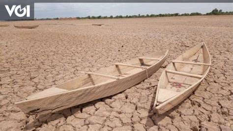 Panas Pol Suhu Di Provinsi Papua Capai 35 Derajat Imbas El Nino