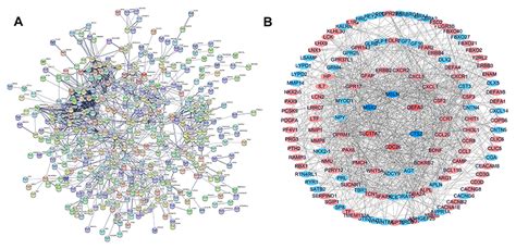 A Six Gene Based Prognostic Model Predicts Complete Remission And Over