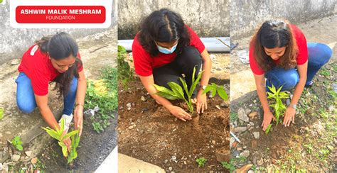 Tree Plantation Drive Conducted At Andheri By Amm Foundation Ashwin