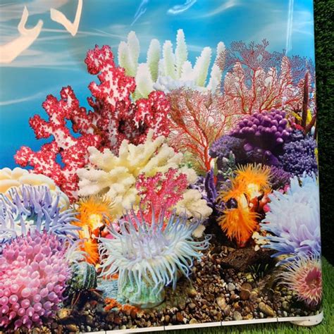 水族最便宜 魚缸背景圖 魚缸背景 魚缸裝飾 魚缸造景 高60cm、長10公分一單位（雙面） 蝦皮購物