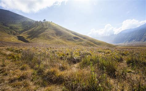 The Beauty Of Teletubbies Hill A Vast Savanna Landscape One Of The