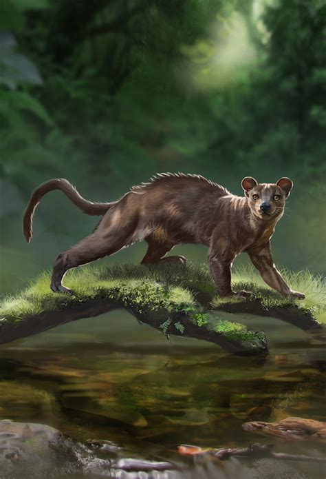 ArtStation - Animals