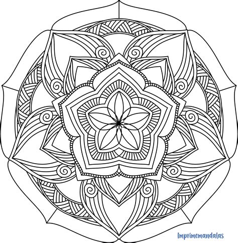 Mandala Zentangle 20 Fácil Dibujos Para Colorear Dibujos Para Colorear Adultos Mandalas Para