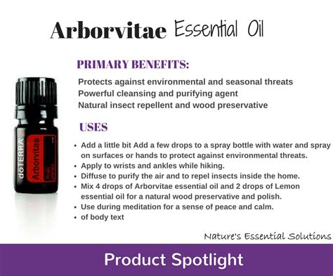 Arborvitae Benefits Uses