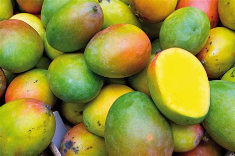 Fruto tropical - Revista Natureza