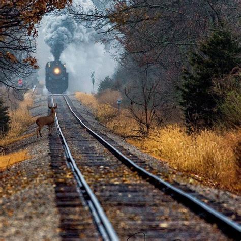 Autumn Railroad