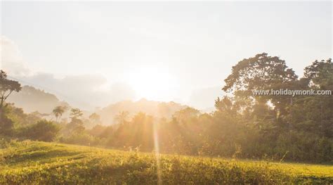 Nagarhole National Park Archives Coorg Stays Resorts And Homestays