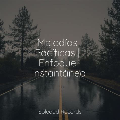 Melodías Pacíficas Enfoque Instantáneo Album by Lluvia Spotify