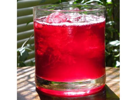 Hibiscus Tea Recipe - Food.com