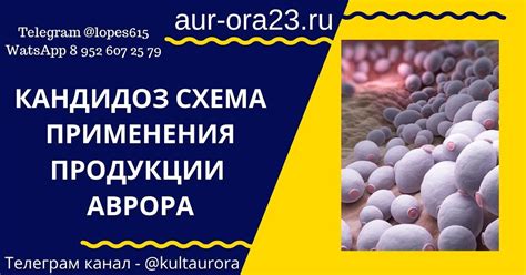 АВРОРА - Очищение, Омоложение организма