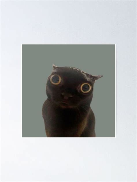 Staring Cat Meme Poster For Sale By Alegzandra Redbubble
