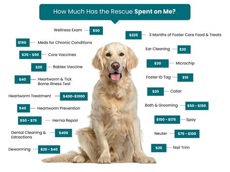 Adoption Fees – Scroungy Dogs and Pretty Pups Rescue