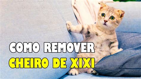 Como Tirar Cheiro De Xixi De Gato Gatil Hauser Youtube