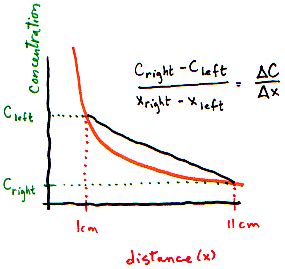 Découvrir 80 imagen gradient de concentration formule fr