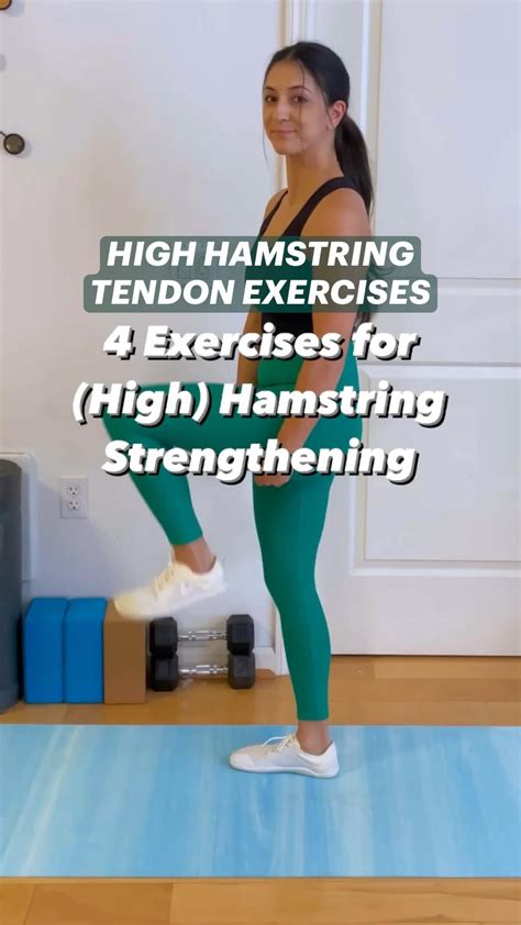 High hamstring tendon exercises every athlete should know – Artofit