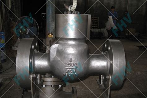 Pressure Seal Check Valve Check Valves Shanghai Yuangao Valves Industry Group Co Ltd