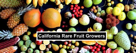 California Rare Fruit Growers