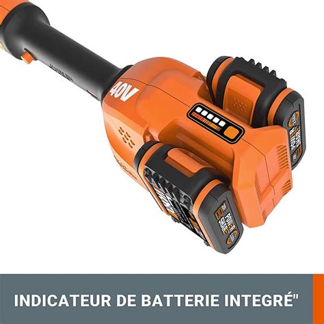 Test et avis du coupe bordure WG183E à batterie de WORX