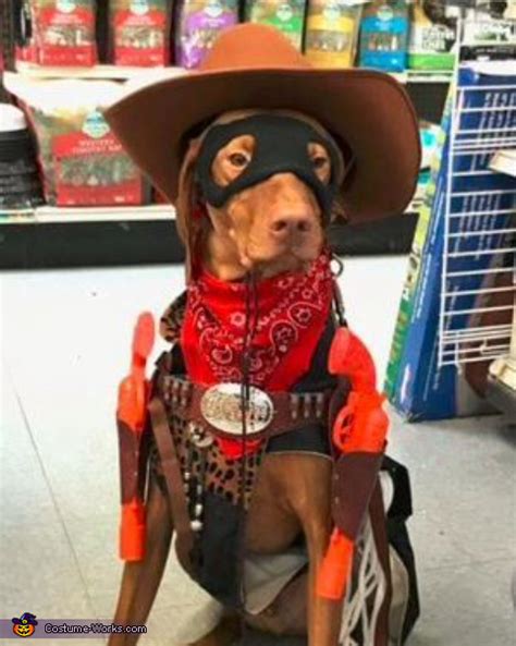 Cowboy Dog Costume