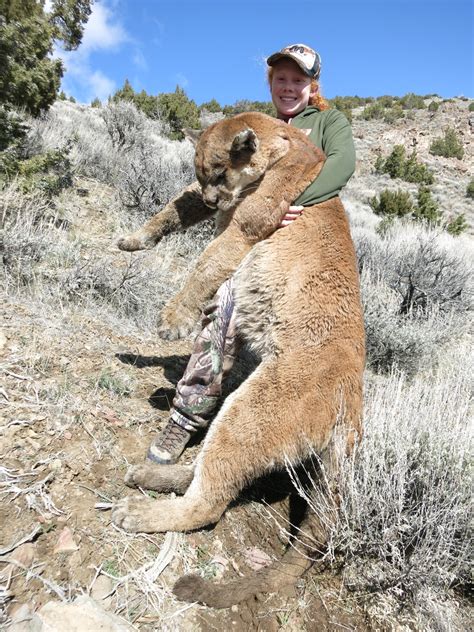 Nevada Mountain Lion Hunts - Nevada High Ridge Outfitters