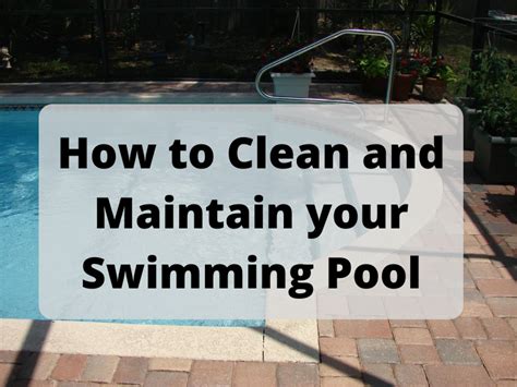 How To Clean And Maintain Your Swimming Pool Clean Up Dream