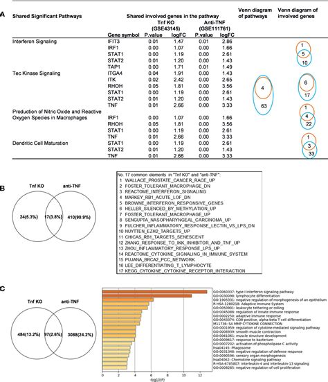 Frontiers Approaching Inflammation Paradoxesproinflammatory Cytokine