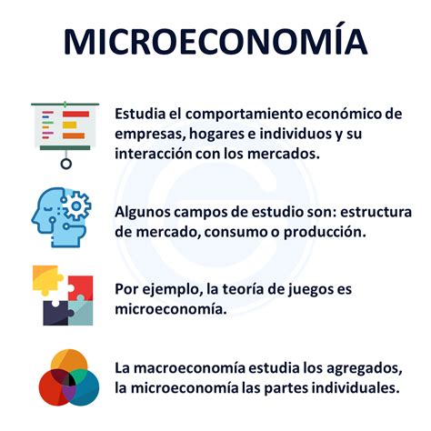 Microeconomía Qué es ramas y ejemplos