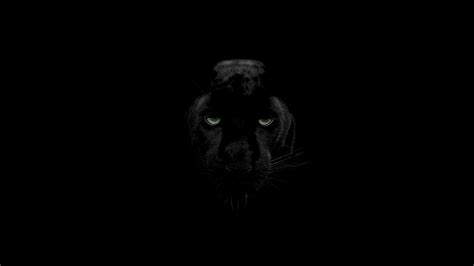 Green Eyes Black Panther, HD Animals, 4k Wallpapers, Images ...