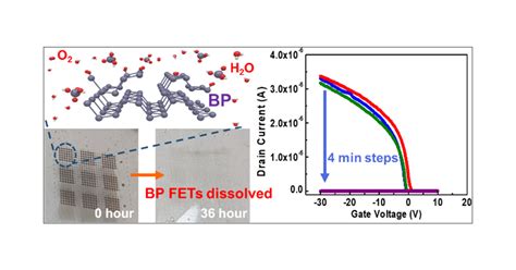 Physically Transient Field Effect Transistors Based On Black Phosphorus