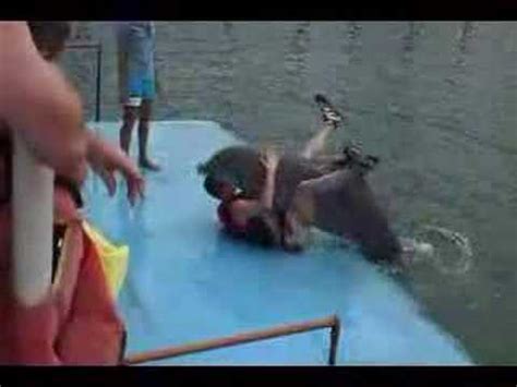 Dolphin Sex Funny Youtube