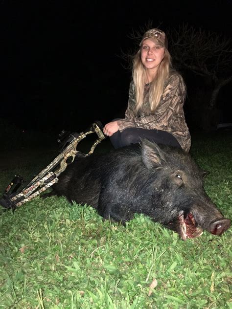 Kauai Wild Boar Hunting Hog Hunts Hawaii