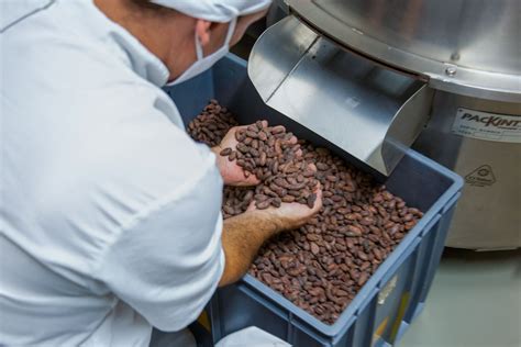 Descubriendo la Diferencia entre Chocolate Real y Chocolate Sucedáneo