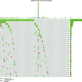 Mutational Landscape Of Somatic Alterations In The Cancer Genome Atlas