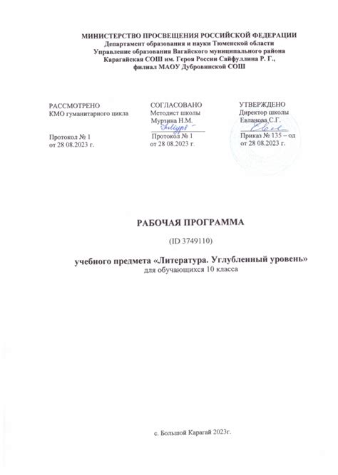 Рабочая программа 10 класс (углубленный) - литература, планирование
