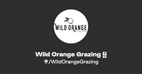 Wild Orange Grazing 🍊 Instagram Facebook Tiktok Linktree