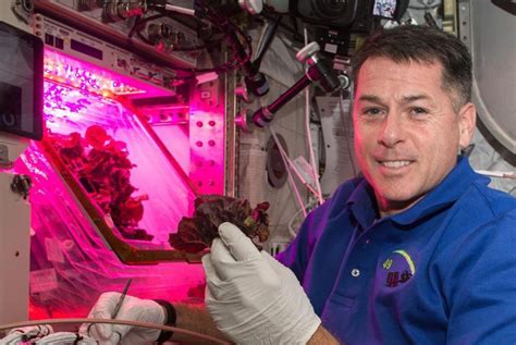 Nasa Advances Food In Space Technology Upi