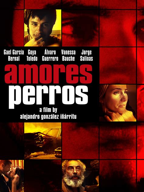 Prime Video Amores Perros