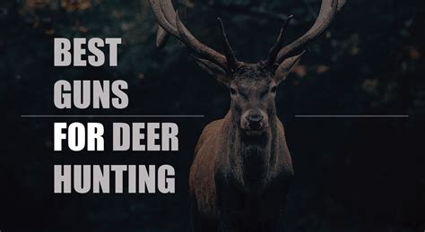 5 Best Guns for Deer Hunting | WikiArms