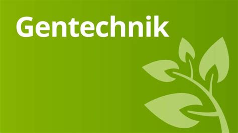 Gentechnik Pro Und Contra Gentechniken