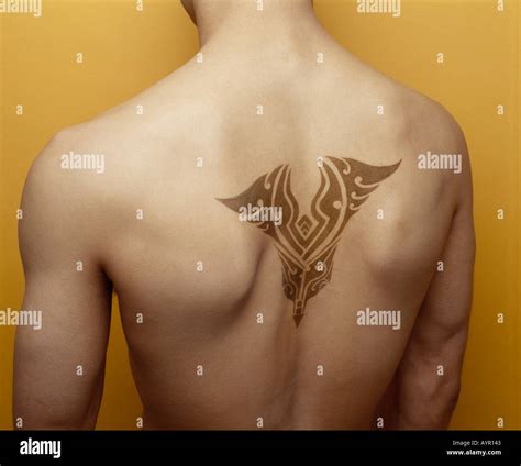 Top More Than Shoulder Blade Tattoos For Men Super Hot In Coedo Vn