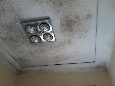 Mould Remediation | Mould Removal | PureProtect.com.au