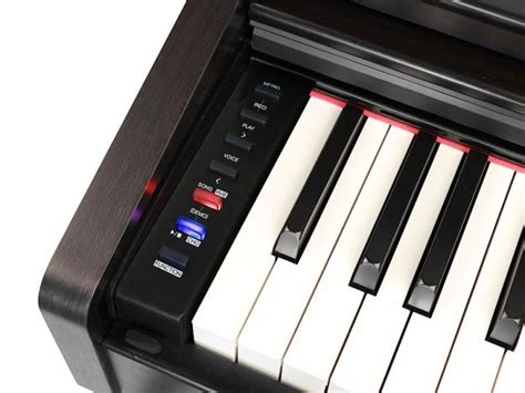 Medeli Grand Pianoforte Digitale A Coda Piani Digitali