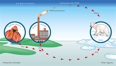 Organic pollutants « World Ocean Review