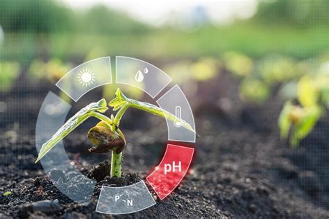 Artificial Intelligence Ai In Soil Quality Monitoring